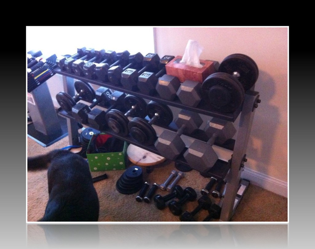 Shannon's at home dumbbell rack